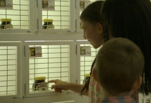 Marmite Rehoming Centre