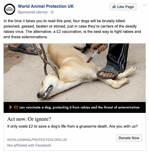 13438860_2057621021130133_7628074431318640800_n